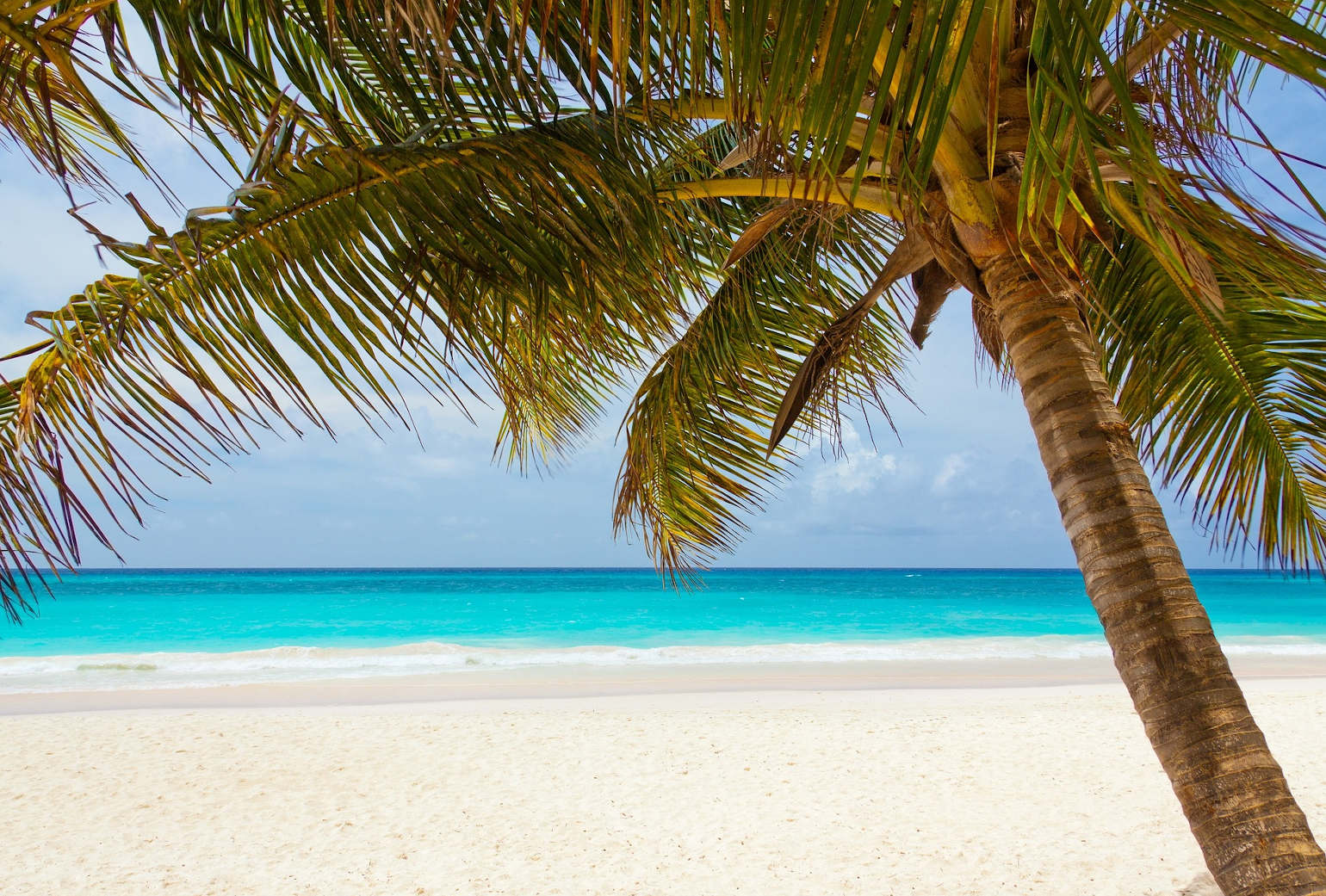 Caribisch interieur
