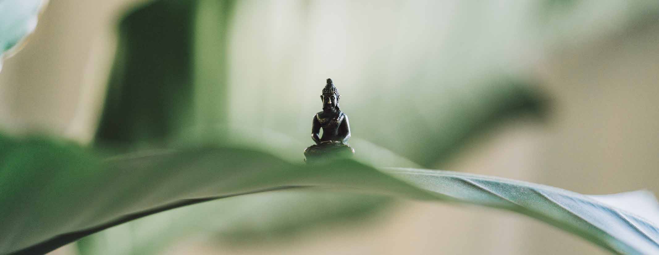 Feng shui inrichtingsstijl